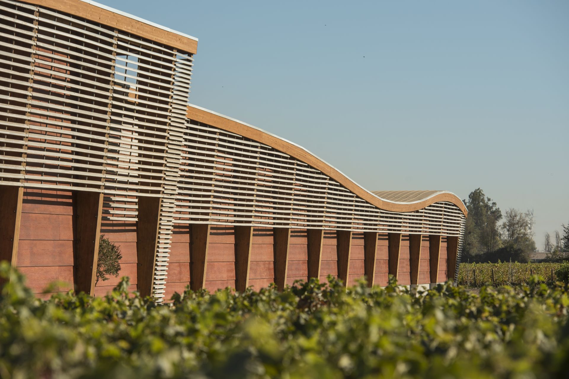 Picture of Wine&Dine: Almaviva