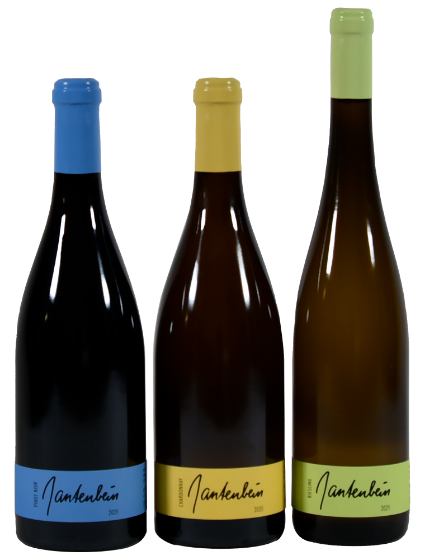 Gantenbein Assortment (1x75cl Chardonnay, 1x75cl Pinot Noir, 1x75cl Riesling)
