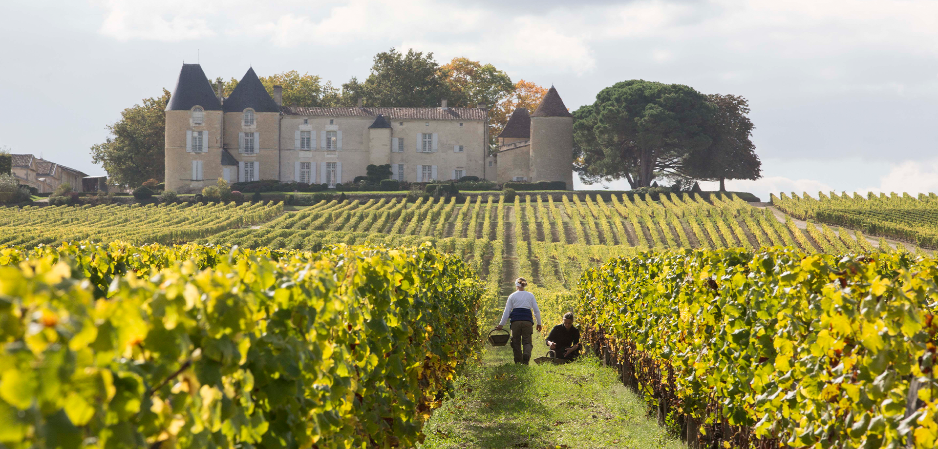 Picture of Open tasting Château d'Yquem - Arvino Zurich