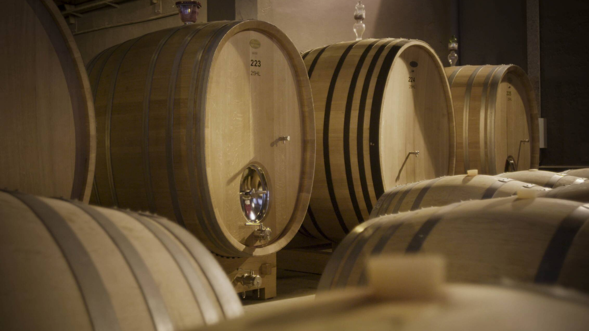 Picture of Open Tasting: Cheval des Andes - Arvino Zurich