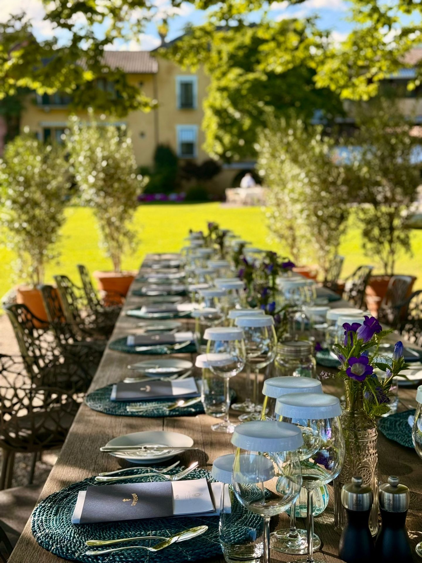 Immagine di Wine & Dine Chateau Angelus - Castello del Sole, Ascona