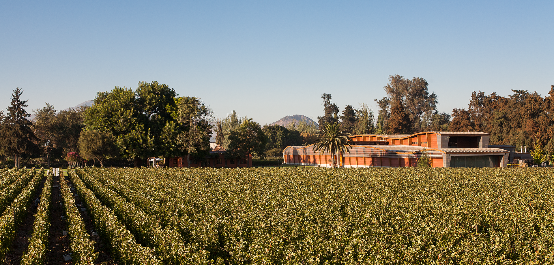 Immagine di Wine & Dine Almaviva - Dorfhus Gupf AG