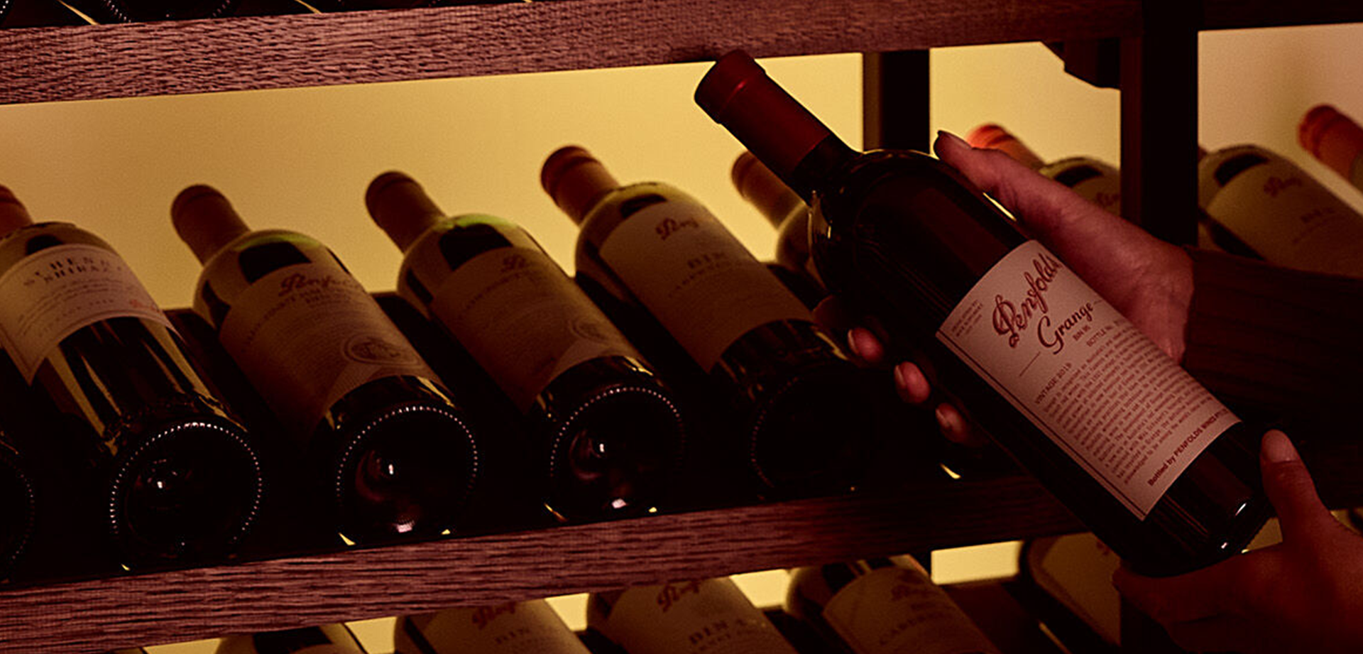 Immagine di Wine & Dine Penfolds - Osteria Cuntitt
