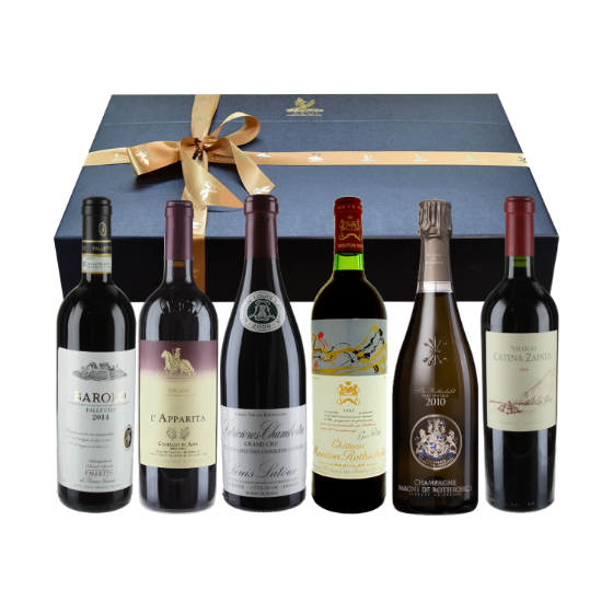 Premium Tour around the World