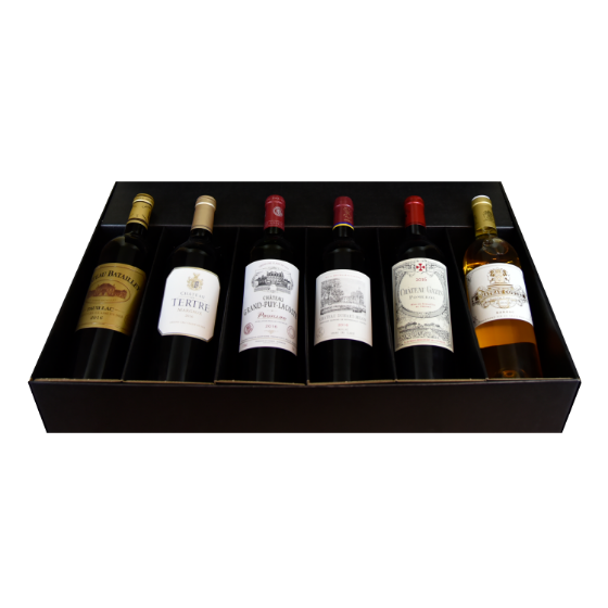 Picture of Grand Tour in Bordeaux – 10 Years Collection