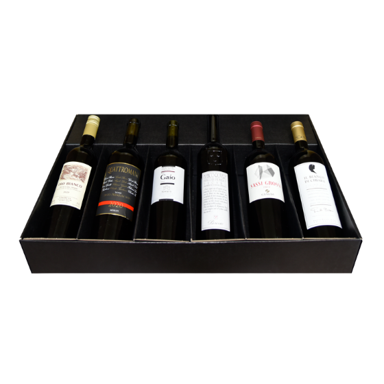 Picture of Grand Tour in Ticino