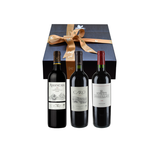 Collection by Lafite 2020