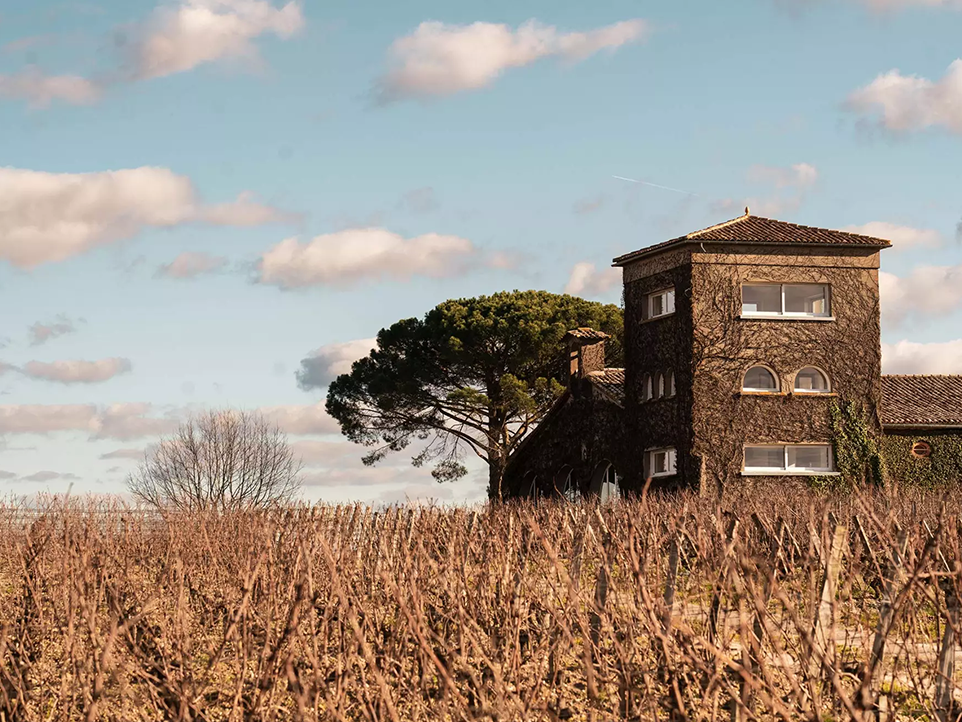 Picture of Open Tasting | Rieussec