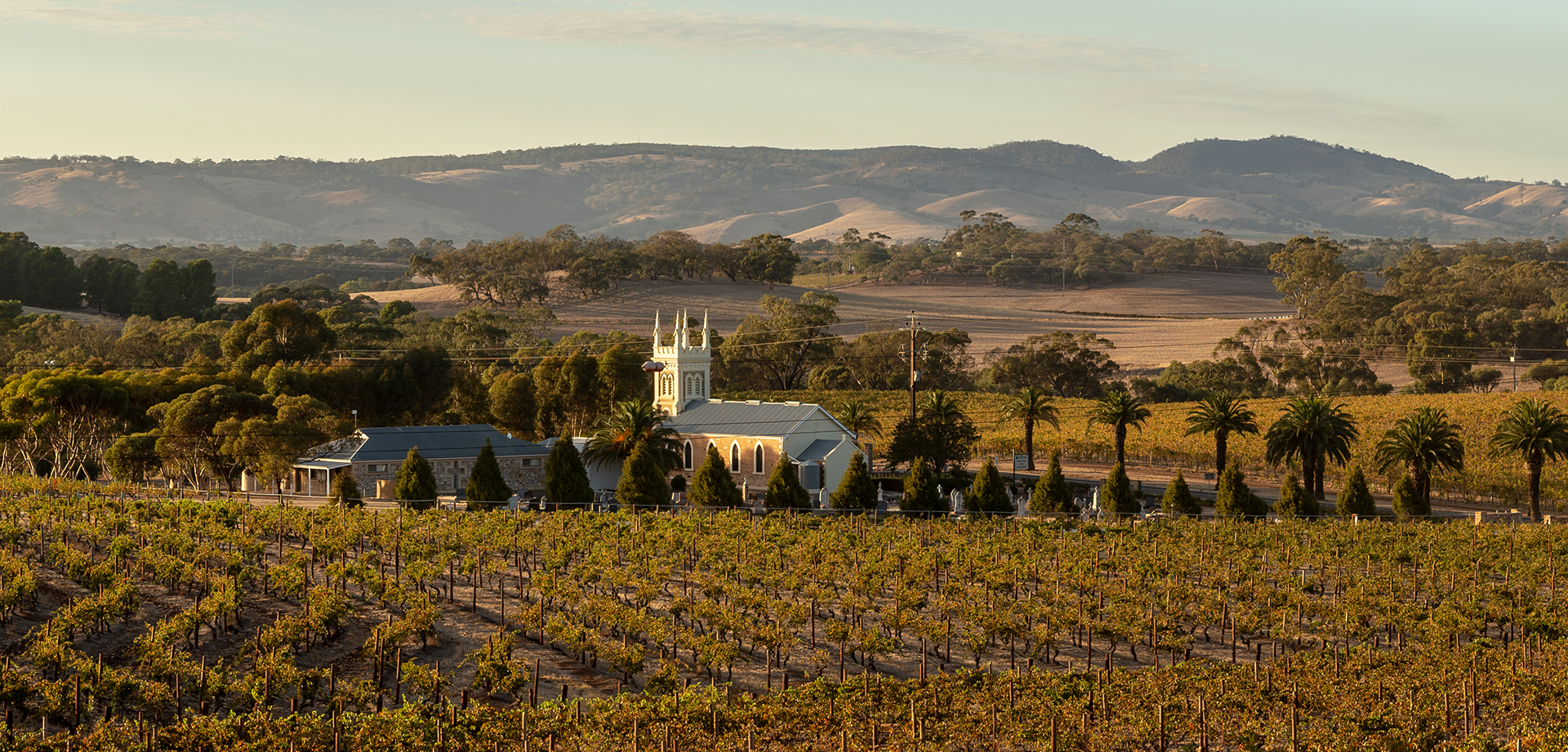 Picture of Open Tasting: Torbreck - Arvino Lugano