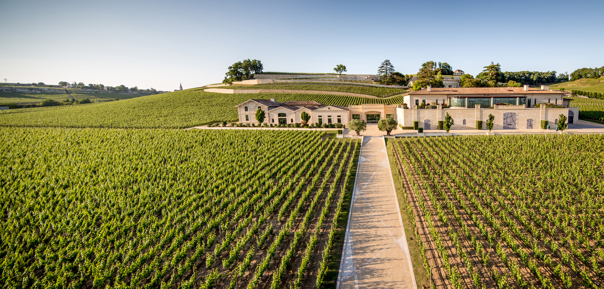 Picture of Wine & Dine Château Pavie - Arvino Zurigo