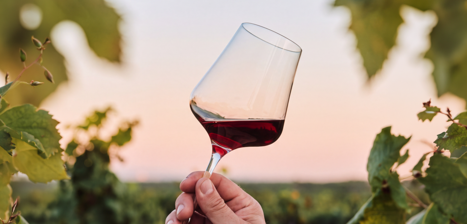 Image de September Tasting - Arvino Zurich
