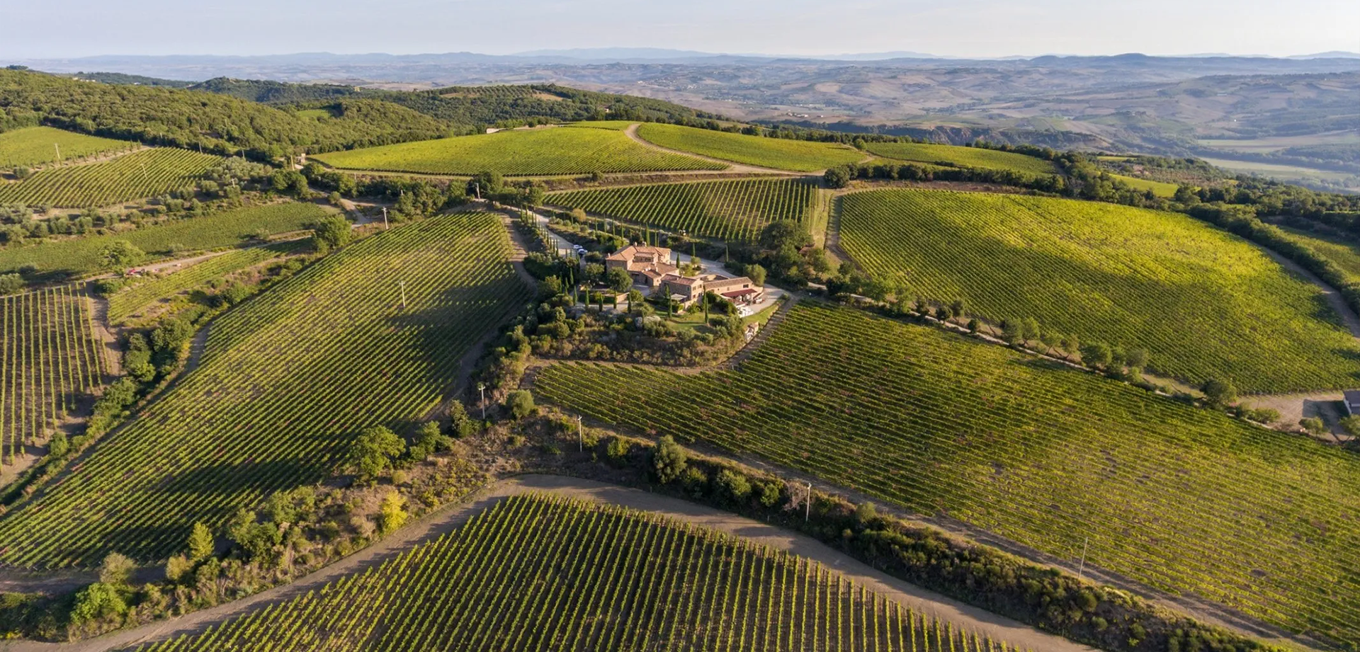 Picture of Wine & Dine: Allegrini & Palmer